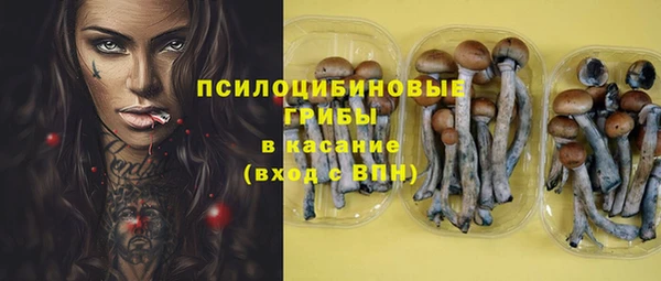 прущий лед Алексеевка