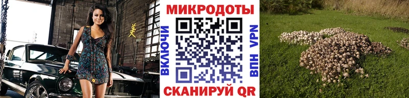 маркетплейс Telegram  где купить наркотик  Льгов  Псилоцибиновые грибы прущие грибы 